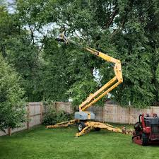 Best Weed Control  in Caldwell, ID