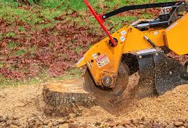 Best Hazardous Tree Removal  in Caldwell, ID