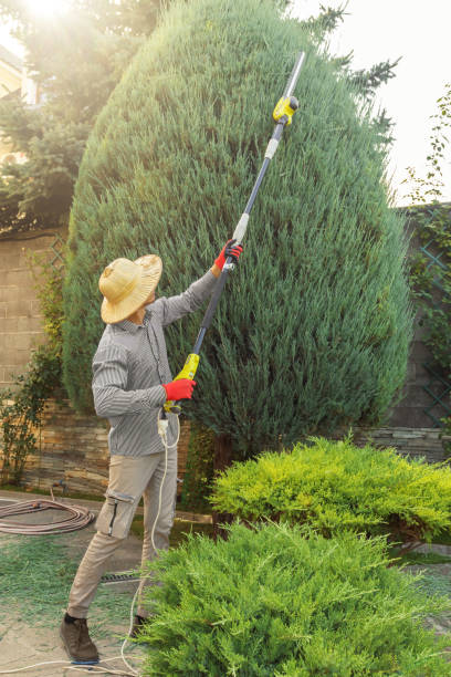 Best Landscape Design and Installation  in Caldwell, ID